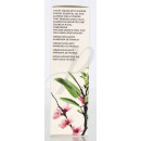 Aromatherapie Exfoliating Cream 50ml