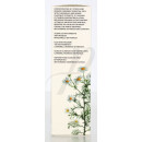 Aroma Therapie Huile Anti-Rougeurs 30ml
