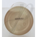 Shampoo Rice & Wheat Volumizing 250ml