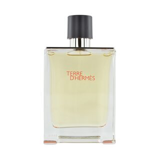 Terre dHerms EdT Spray 100 ml