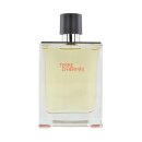 Terre dHermès EdT Spray 100 ml