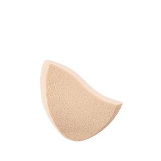 Flawless Lumire Radiance Perfecting Sponge