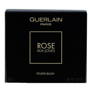 Rose aux Joues Blush - 02 Chic Pink 6,5g