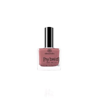 Hybrid Lacquer - 106 Meet Me In Pari 8ml
