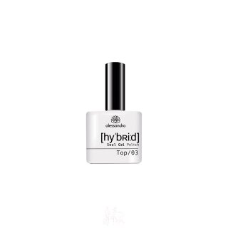 Hybrid Lack -  301 Top Coat
