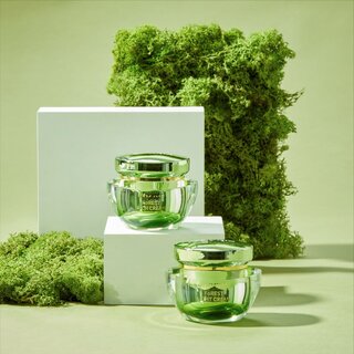 FoREST - Light Cream 50ml