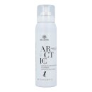 Arctic Crackling Ice Spray 100ml