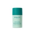 Pâte Grise - Stick Gommant Purifiant 25g