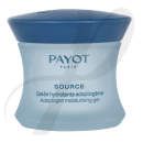 Source - Gelée hydratante adaptogène 50ml