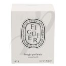Fiquier Candle 190g