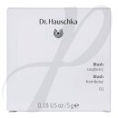 Blush - 01 Raspberry 5g