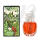 Lolitaland - EdP 40ml