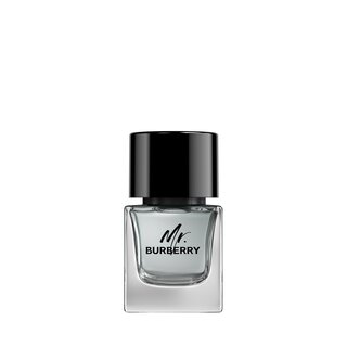 Mr. Burberry - EdT