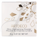 Art Glow Powder 01