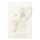 CK One Giftset Eau de Toilette 50ml + Duschgel 100ml (2021)