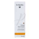 Tinted Day Cream 30ml