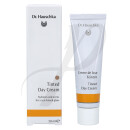 Tinted Day Cream 30ml