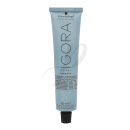 Igora Royal Highlifts 60ml -12-0 Special Blond Natur