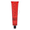 Igora Royal Permanent Color Creme 60ml - 8-1 Hellblond Cendré