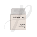 Lipstick 14 Caralluma 4,1g