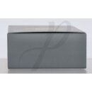 AMG Silver Thrill EdP 60ml