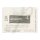 Newhite Brightening Night Cream 50ml