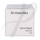 Lip To Cheek - 01 Apricot 6,1g
