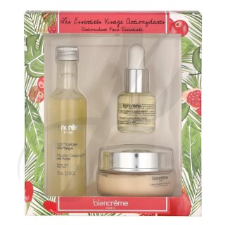 Antioxidant Facial Trio Set