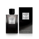 Identity Silver Pour Homme - EdP 100ml