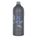 Color Catalyst Conditioning Developer Cream 887ml
