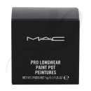 Pro Longwear Paint Pot 5g