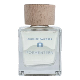 Formentera Mikado Diffuser 100ml