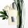 Grey Vetiver - EdP 50ml