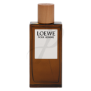 Loewe Pour Homme - EdT 100ml