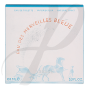 Eau des Merveilles Bleue EdT Spray 100 ml