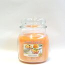 Yank Cl Med Jar Mango Ice Cr 411g